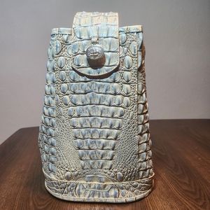 Brahmin Bag Crossbody